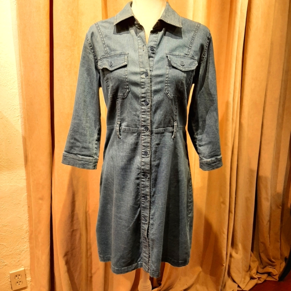 Wendy Williams denim shirt dress